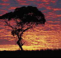 Kimba Caravan Park amp Motel - Accommodation Port Macquarie