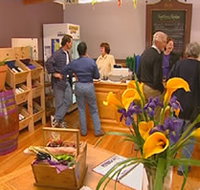 Settlers Ridge Organic Wines - Accommodation Port Macquarie