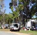 Elliston Caravan Park - Accommodation Port Macquarie