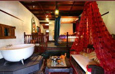 Casuarina Country Inn - Accommodation Port Macquarie 3