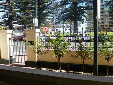 Grandview House Apartments - Accommodation Port Macquarie 5