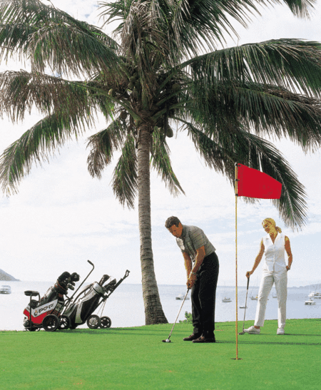 Adventure Island Whitsundays (south Molle Island) - Accommodation Port Macquarie 2