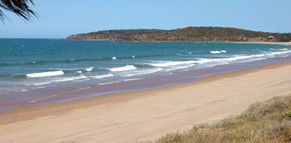 Mango Tree Motel - Accommodation Port Macquarie 4