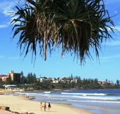Mariners Caloundra - Accommodation Port Macquarie