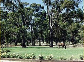 Saratoga Lodge - Accommodation Port Macquarie 0