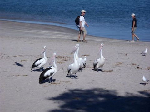 Kalbarri Accommodation Service - Accommodation Port Macquarie 5