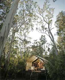 Paperbark Camp - Accommodation Port Macquarie 0