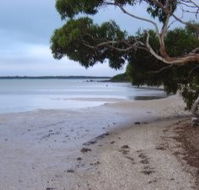 Stanley Lakeside Spa Cabins - Accommodation Port Macquarie
