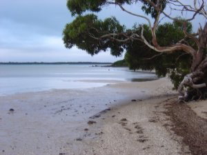 Stanley Lakeside Spa Cabins - Accommodation Port Macquarie 0