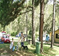 Glasshouse Mountains Holiday Village - Accommodation Port Macquarie
