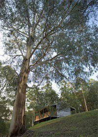 Ada VIC Accommodation Port Macquarie