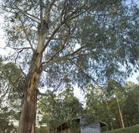 Outpost Restaurant - Accommodation Port Macquarie