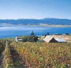 Marions Vineyard  - Accommodation Port Macquarie