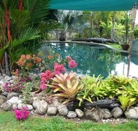 Daintree Wild Bed And Breakfast - Accommodation Port Macquarie