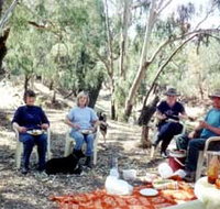 Bimbimbi And Little Hollow Farm Stay - Accommodation Port Macquarie