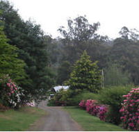 Mountain Rivers Lodge - Accommodation Port Macquarie