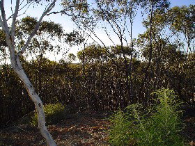 Prairie ACT Accommodation Port Macquarie