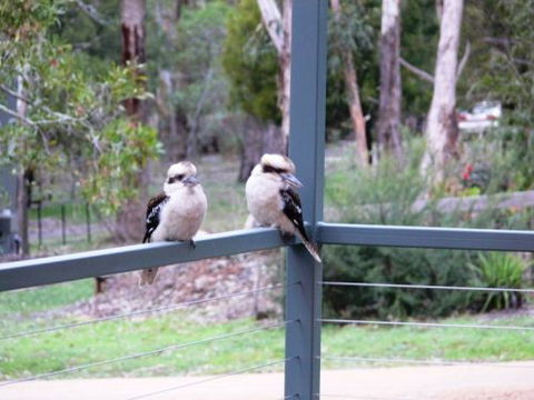 The Ripley Family Holiday Retreat - Accommodation Port Macquarie 9