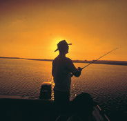 Point Stuart Wilderness Lodge - Accommodation Port Macquarie