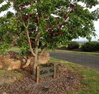 Belle Vue Studio - Accommodation Port Macquarie