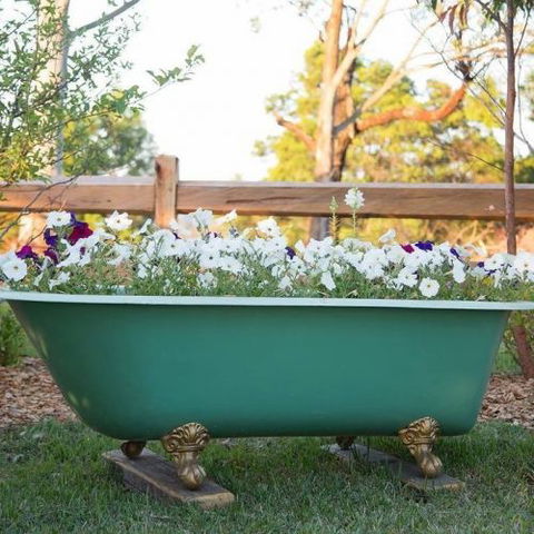 Milton Country Retreat - Accommodation Port Macquarie 4