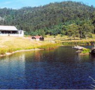 Millybrook Lodge - Accommodation Port Macquarie