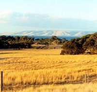 The Kona - Accommodation Port Macquarie