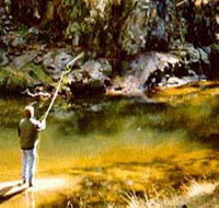 Markdale Homestead - Accommodation Port Macquarie