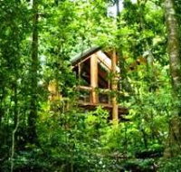 Fur'N'Feathers Rainforest Tree Houses - Accommodation Port Macquarie