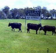 Cluan Homestead - Accommodation Port Macquarie