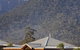 Emirates One&Only Wolgan Valley Australia - thumb 1