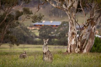 Emirates One&Only Wolgan Valley Australia - Accommodation Port Macquarie 8