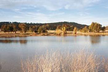 Talga Estate - Accommodation Port Macquarie 3