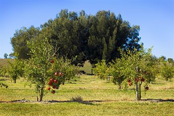 Talga Estate - Accommodation Port Macquarie 11