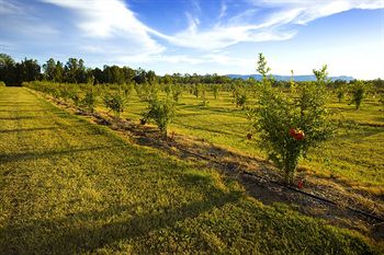Talga Estate - Accommodation Port Macquarie 12