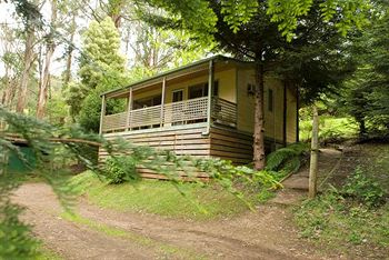 Hill 'N' Dale Farm Cottages - Accommodation Port Macquarie 3