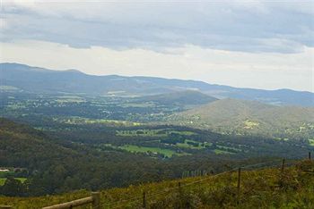 Hill 'N' Dale Farm Cottages - Accommodation Port Macquarie 14