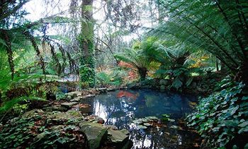 Cottages At Monreale - Accommodation Port Macquarie 6