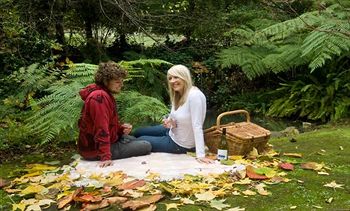 Cottages At Monreale - Accommodation Port Macquarie 10