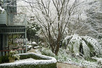 Cottages At Monreale - Accommodation Port Macquarie 38