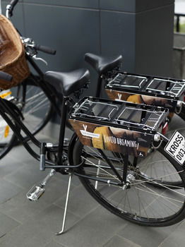 Art Series-The Blackman - Accommodation Port Macquarie 5