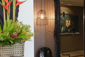 Art Series-The Blackman - Accommodation Port Macquarie 21