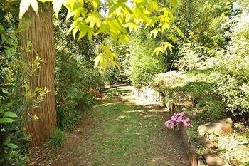 Holly Lodge - Accommodation Port Macquarie 4