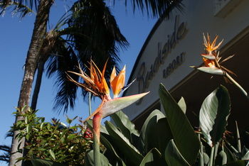 Beachside Resort - Kawana Waters - Accommodation Port Macquarie 4