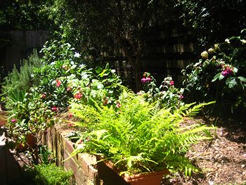 Bungunyah Apartments - Accommodation Port Macquarie 1