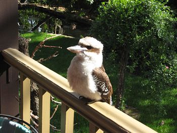 Bungunyah Apartments - Accommodation Port Macquarie 3