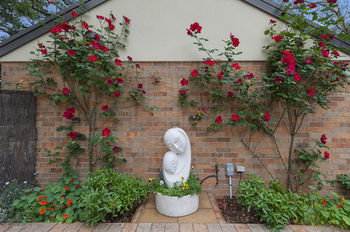 Bungunyah Apartments - Accommodation Port Macquarie 8