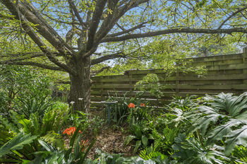 Bungunyah Apartments - Accommodation Port Macquarie 41