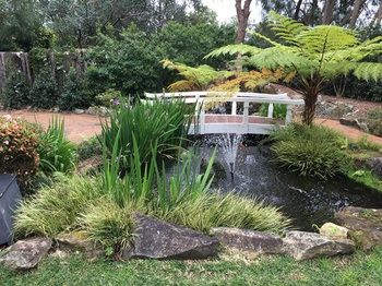 Checkers Resort & Conference Centre - Accommodation Port Macquarie 20