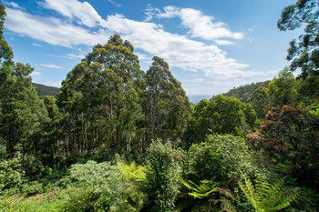 A Camelot Tower & Penthouse - Accommodation Port Macquarie 46